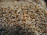 grains of sand.jpg