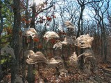 Autumn Colours.jpg