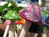 MushRooms.jpg