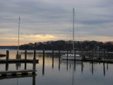 Morning Light.jpg