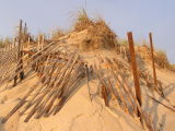 This dune protected by Acme Dune Fence Co.jpg