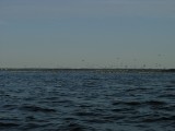 P9020033.JPG