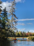 PA100055.jpg