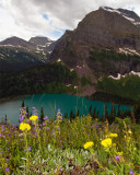 Grinnell Lake with Flowers.jpg