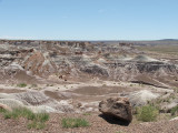 Petrified Forest National Park & Painted Desert