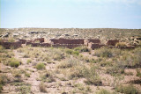 Petrified Forest National Park & Painted Desert