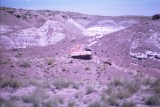 Petrified Forest National Park & Painted Desert