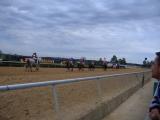 Horse Races - Oaklawn Park