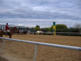 Theyre Off! - Oaklawn Park