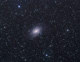 NGC 6744 close up crop