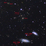Distant Galaxies in Grus