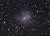 Barnards Galaxy close up (1.2meg)