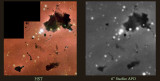 Tiny Bok Globules in IC 2944