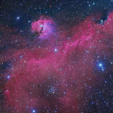 Seagull Nebula (large)