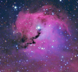The Seagull Nebula - NASA APOD 12 Jan 2011