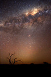 Milky  Way over Tree