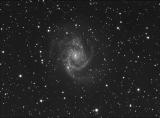 Deep NGC 2997