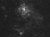 Tarantula Nebula region in H-alpha