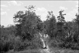 AR50-56-21pr1sm.jpg
