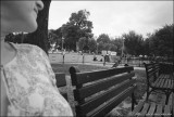 Elfa and sparrow, near White House
