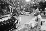 Elfa and Birch tree, Georgetown