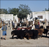 Photographer Unknown: Afghanistan