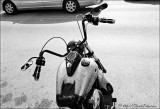 HP5-50-18pr1sm.jpg