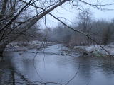 Stream in Ohio