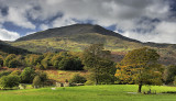 Gelerts Grave, Beddgelert