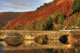 River Dyfi