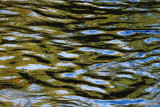 Water Reflections Abstract  #3