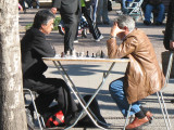 chess in the square