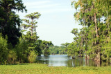 Lake Martin  