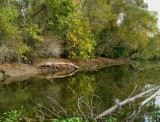November Day - Navidad River