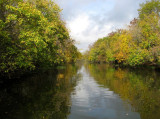 Going Up River - Autumn Leaves