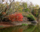 November Day - Navidad River