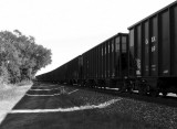 Black & White Rail Cars