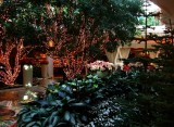 Chirstmas Decorations and Lush Foliage at the Wynn