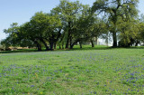 Blue Field at Old Baylor
