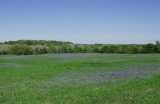 Blue Pasture Land