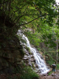 One of Many Waterfalls