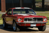 Little Red Mustang