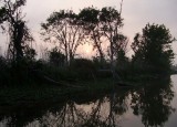 Fishing Light