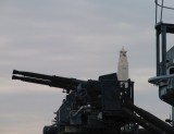 San Jacinto Monument from the Battleship Deck
