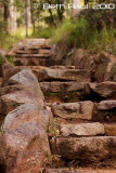 Steps on the Ghost Hole Track