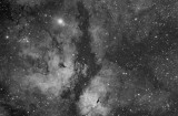 IC 1318 - Butterfly Nebula