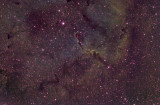 IC 1396 - Elephant's Trunk Nebula