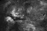 IC1318 - Sadr Nebula in Ha