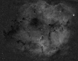 IC1396 - Elephants Trunk Nebula in Ha
