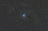 NGC7023 - Iris Nebula